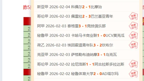 明日赛事亮点：张玉宁身着9号球衣，大莲花赛场调试精彩集锦