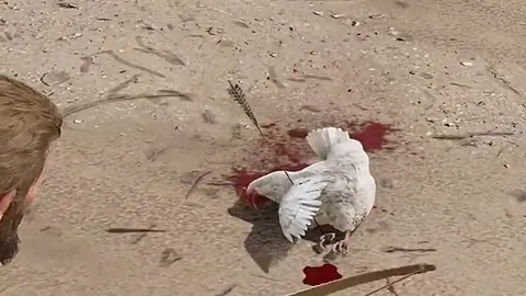 武磊受伤无缘澳大利亚之旅，国足火速征调程进和胡荷韬顶替空缺